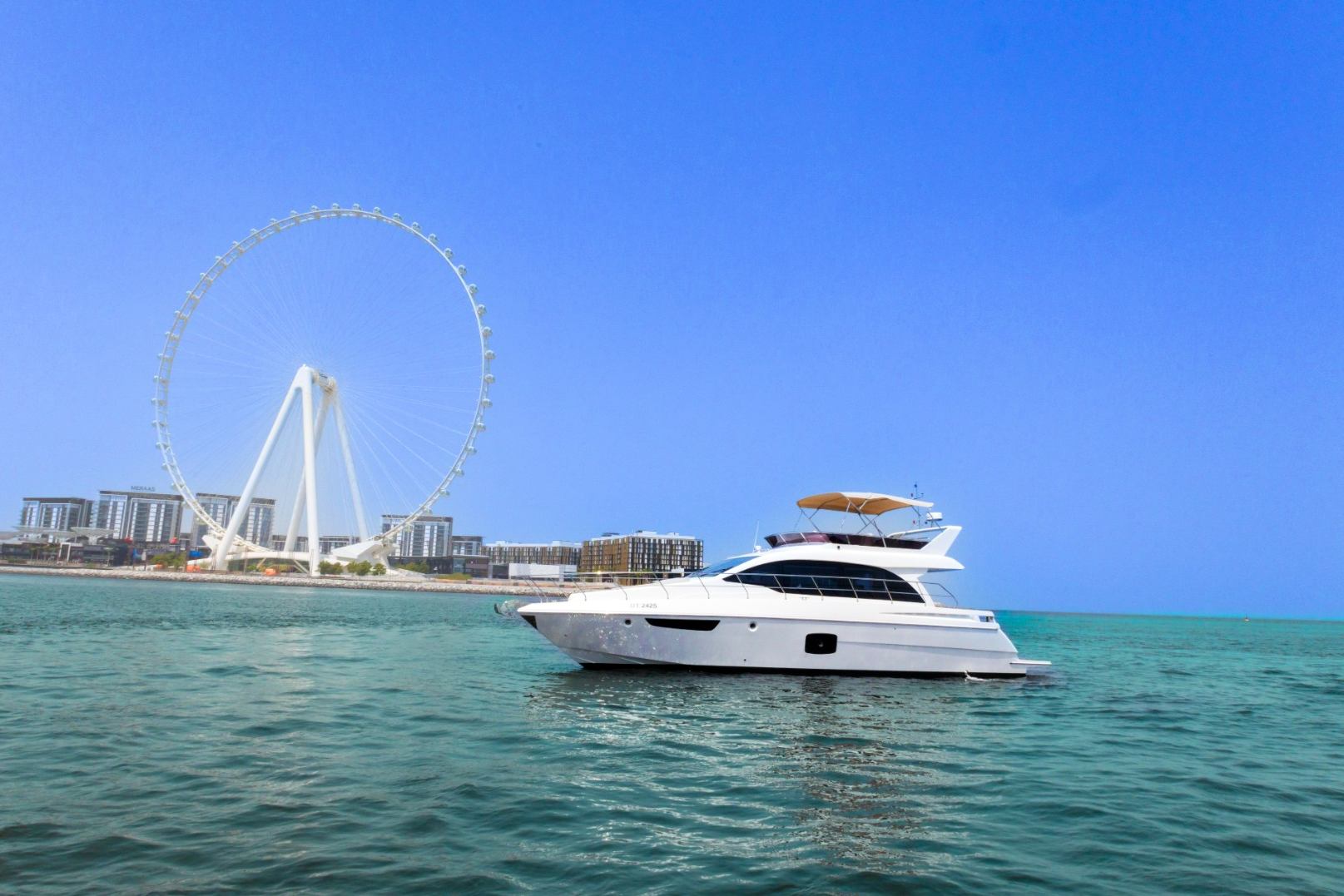 Sky Walker Art (52 ft) — image 3